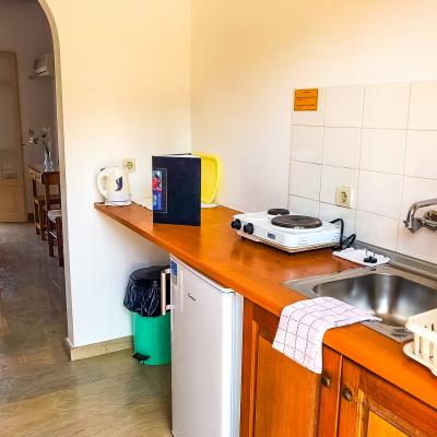 Tria Adelphia Studio Kitchenette